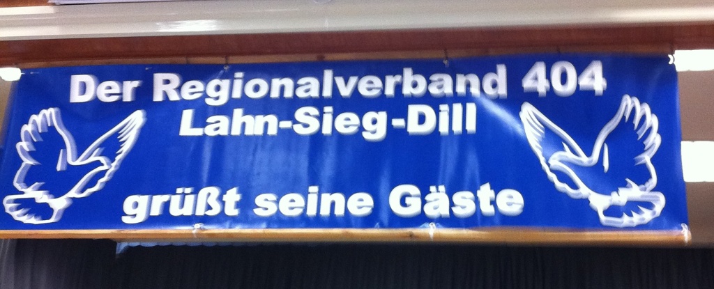 Brieftauben sind tolle Tiere